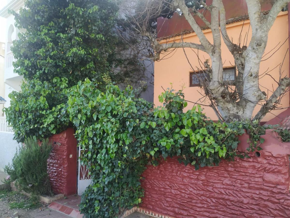 Dar El Pirata Hostel Asilah Dış mekan fotoğraf
